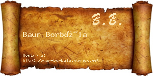 Baur Borbála névjegykártya
